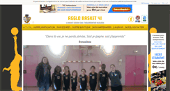 Desktop Screenshot of agglobasket41.fr